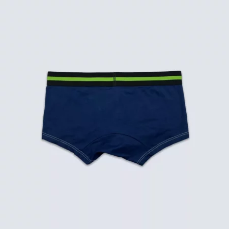 Upcycled Blue Green Boxer - Image 3
