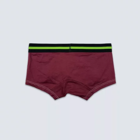 Upcycled Maroon Green Boxer - Image 3