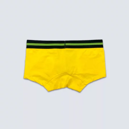 Upcycled Yellow Green Boxer - Image 3