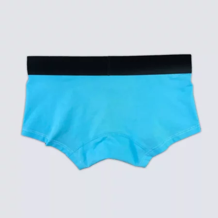 Upcycled Light Blue Boxer - Image 3