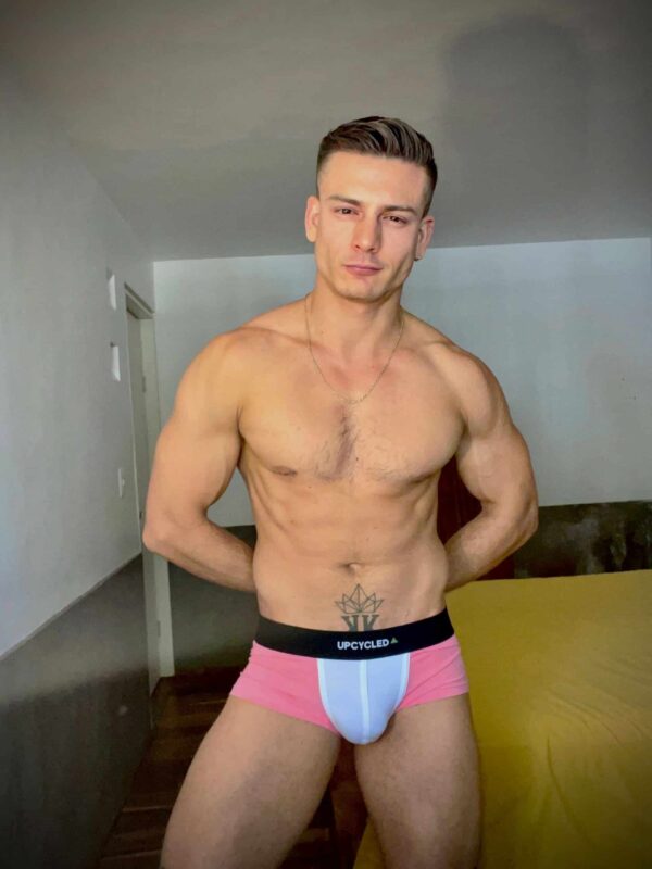 Upcycled Pink Boxer - Image 4